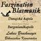 musikverein-frisch-voran-syrgenstein-ev-faszination-tickets-2019-60×60